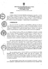 Vista preliminar de documento am069-2020