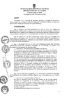 Vista preliminar de documento ra0354-2020