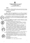 Vista preliminar de documento ra0403-2020