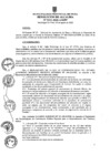 Vista preliminar de documento ra0355-2020