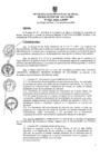 Vista preliminar de documento ra0521-2020