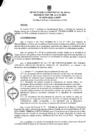 Vista preliminar de documento ra0539-2020