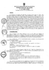 Vista preliminar de documento ra0479-2020