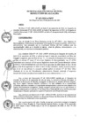 Vista preliminar de documento ra0455-2020
