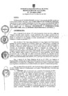 Vista preliminar de documento ra0739-2020