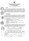 Vista preliminar de documento ra0795-2020