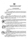 Vista preliminar de documento ra0101-2019