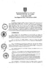 Vista preliminar de documento ra0234-2019