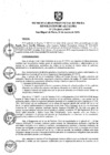 Vista preliminar de documento ra0271-2019