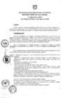 Vista preliminar de documento ra0460-2019