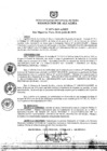 Vista preliminar de documento ra0571-2019