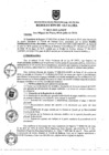 Vista preliminar de documento ra0613-2019
