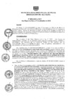 Vista preliminar de documento ra0894-2019