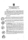 Vista preliminar de documento ra0950-2019