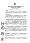 Vista preliminar de documento ra0896-2019