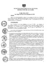 Vista preliminar de documento ra0881-2019