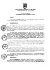 Vista preliminar de documento ra1113-2019