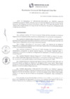 Vista preliminar de documento RGSRLS N° 005-2018