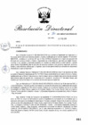 Vista preliminar de documento RD_2015_016_COPESCO