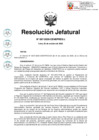 Vista preliminar de documento RJ-087-2020-CENEPRED-J