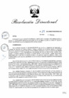 Vista preliminar de documento RD_2015_024_COPESCO