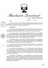 Vista preliminar de documento RD_2015_026_COPESCO