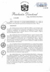 Vista preliminar de documento RD66-2018-PNSU