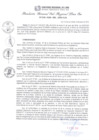 Vista preliminar de documento RGSRLS N° 036-2018
