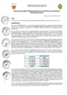 Vista preliminar de documento 009.pdf