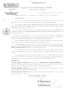 Vista preliminar de documento RGSRLS N° 002-2019
