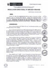 Vista preliminar de documento rd049-2021.pdf