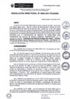 Vista preliminar de documento rd050-2021.pdf