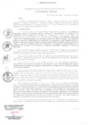 Vista preliminar de documento RGSRLS N° 011-2019