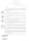 Vista preliminar de documento RGSRLS N° 019-2019