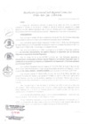 Vista preliminar de documento RGSRLS N° 028-2019