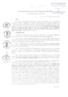 Vista preliminar de documento RGSRLS N° 029-2019