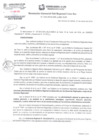 Vista preliminar de documento RGSRLS N° 034-2019