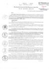 Vista preliminar de documento RGSRLS N° 037-2019