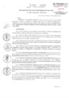 Vista preliminar de documento RGSRLS N° 038-2019