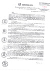 Vista preliminar de documento RGSRLS N° 046-2019