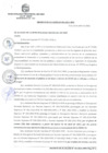 Vista preliminar de documento DA_004-2021-MPV.pdf