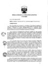 Vista preliminar de documento ResolucionDEN0202021