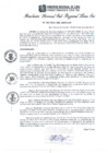 Vista preliminar de documento RGSRLS Nº337-2012
