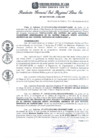 Vista preliminar de documento RGSRLS Nº342-2012