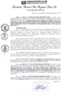 Vista preliminar de documento RGSRLS Nº343-2012