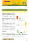 Vista preliminar de documento Boletín de Abastecimiento y Precios Mayoristas GMML y MM Nº 2 21/04/21