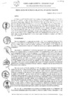 Vista preliminar de documento RG_038-2021.pdf