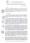 Vista preliminar de documento RG_050_2021.pdf