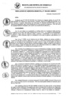 Vista preliminar de documento RG_166-2021.pdf
