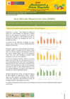 Vista preliminar de documento Boletín de Abastecimiento y Precios Mayoristas GMML y MM Nº 2 26/04/21